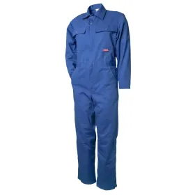 Farbvariante kornblau