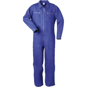 Farbvariante kornblau