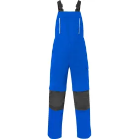 Farbvariante kornblau/dunkelgrau