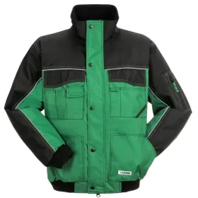 Farbvariante farngrün/schwarz