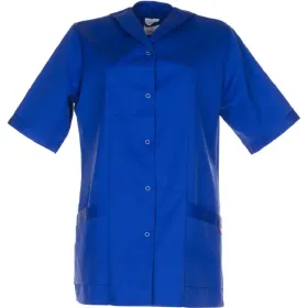 Farbvariante kornblau