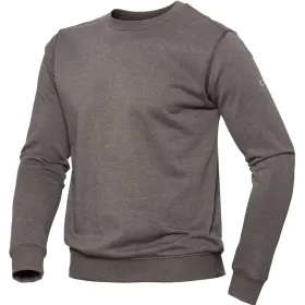 Farbvariante falke