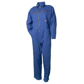 Farbvariante kornblau