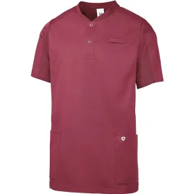 Farbvariante brombeere