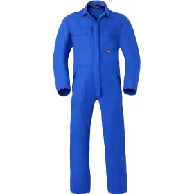 Farbvariante kornblau