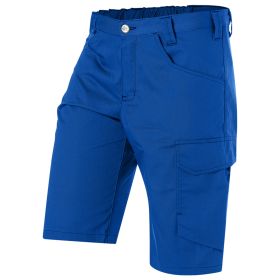 Farbvariante kornblau