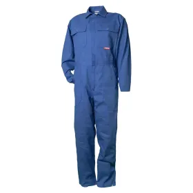 Farbvariante kornblau