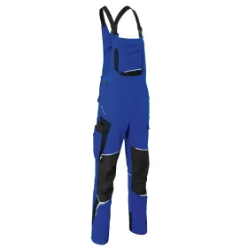 Farbvariante kornblau/schwarz