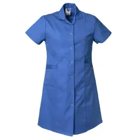 Farbvariante kornblau